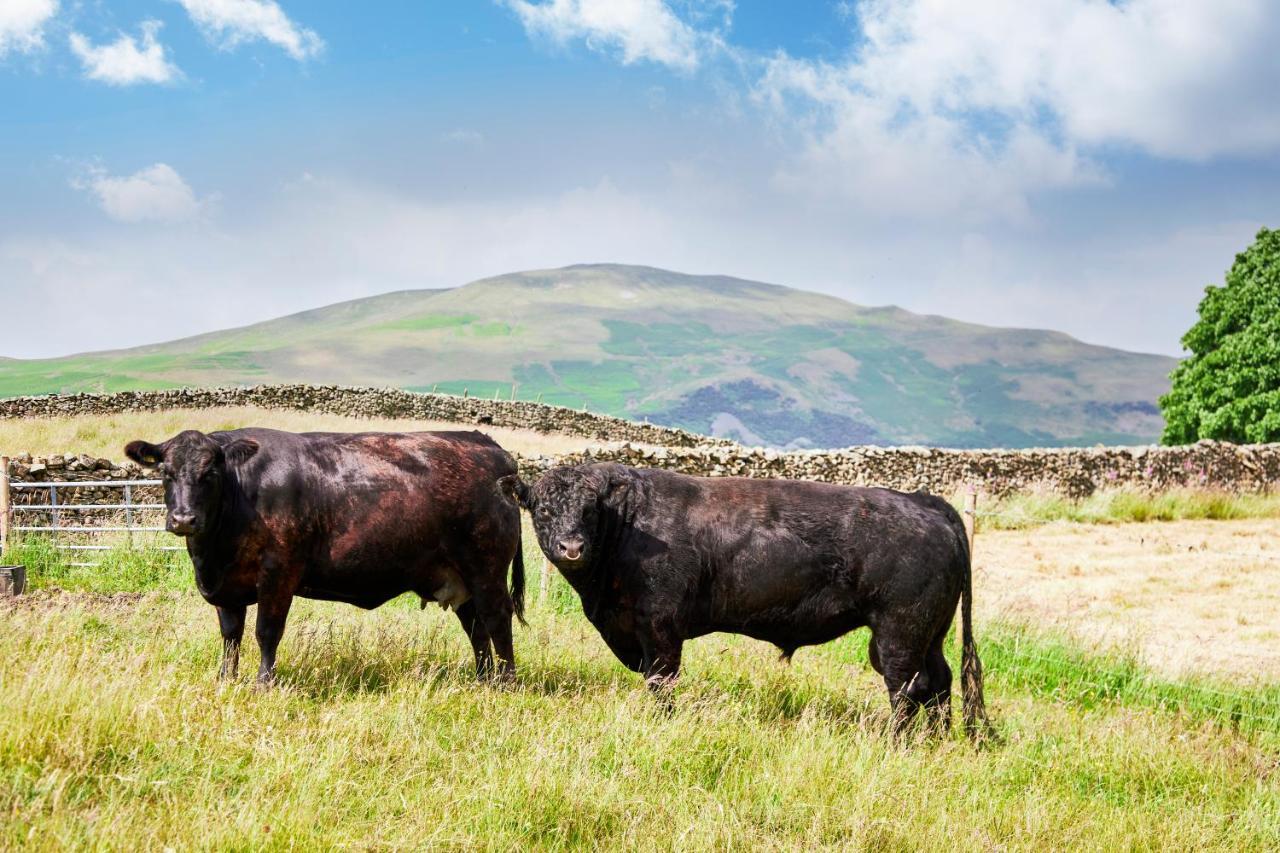 The Dalesman Country Inn Sedbergh Exteriör bild